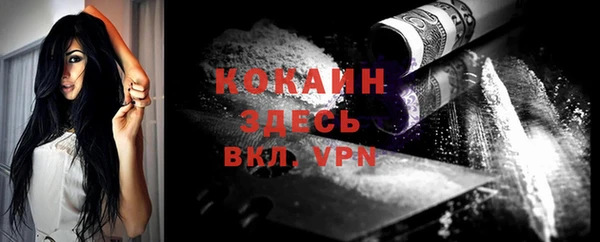 сатива Нязепетровск