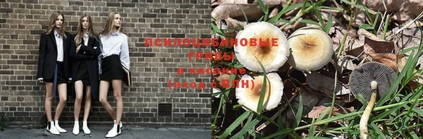 прущая мука Осташков