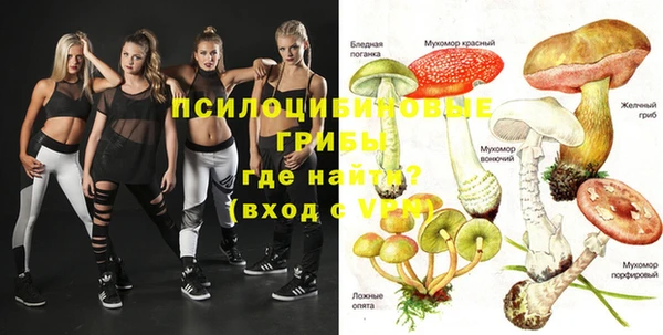 прущая мука Осташков