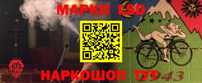 spice Берёзовский