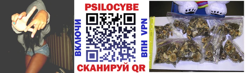 Галлюциногенные грибы Psilocybe  Нововоронеж 