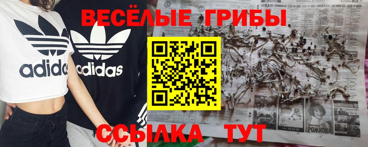 Псилоцибиновые грибы Magic Shrooms Нововоронеж