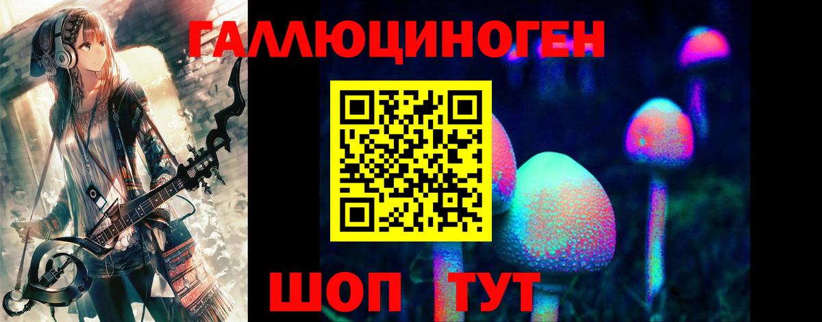 Галлюциногенные грибы Cubensis  Нововоронеж 